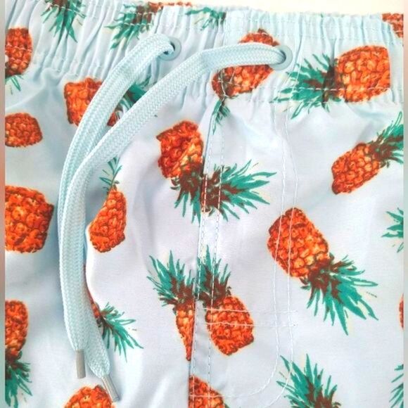 Burnside Pineapple Swim Shorts - Picture 4 of 11